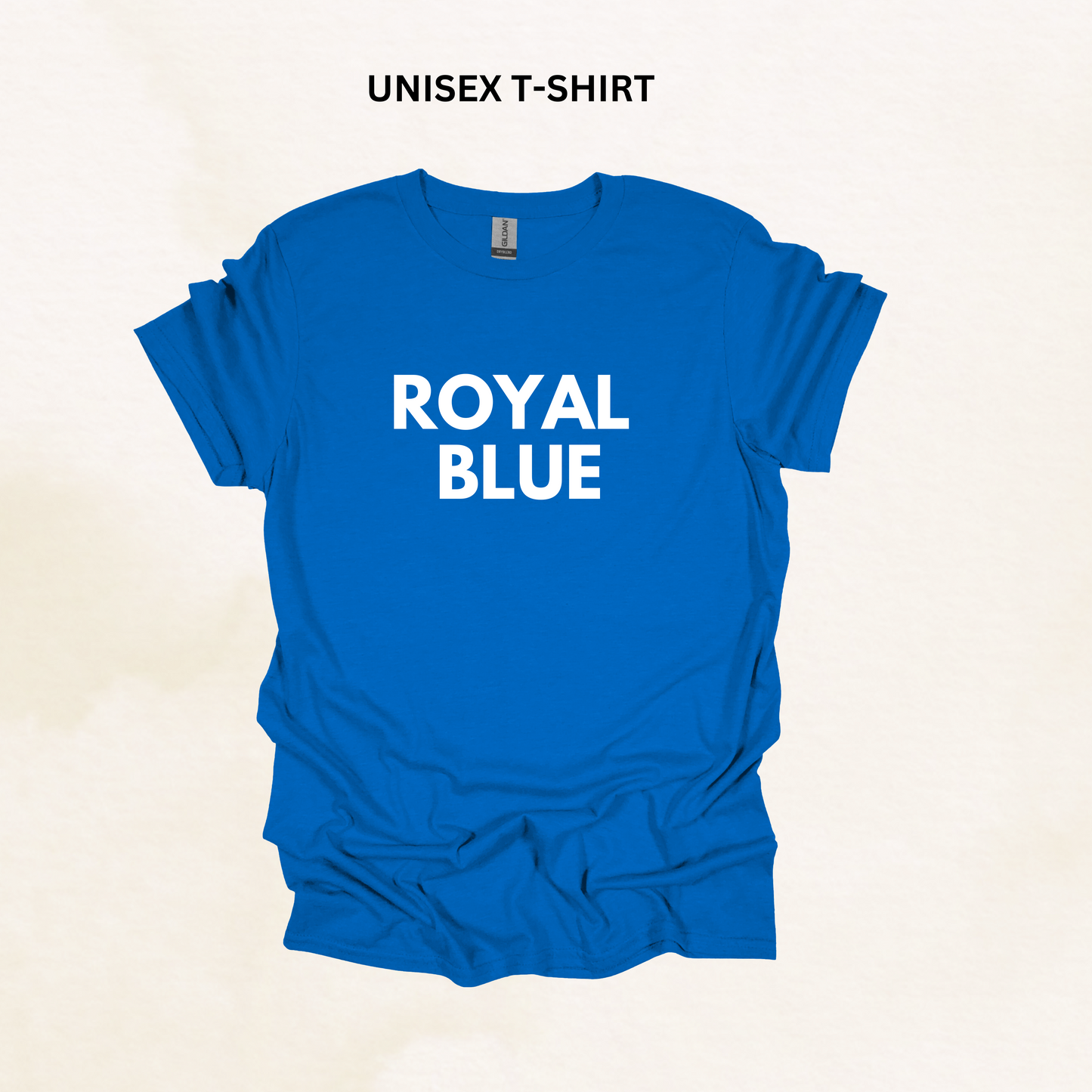 ROYAL BLUE GILDAN TSHIRT