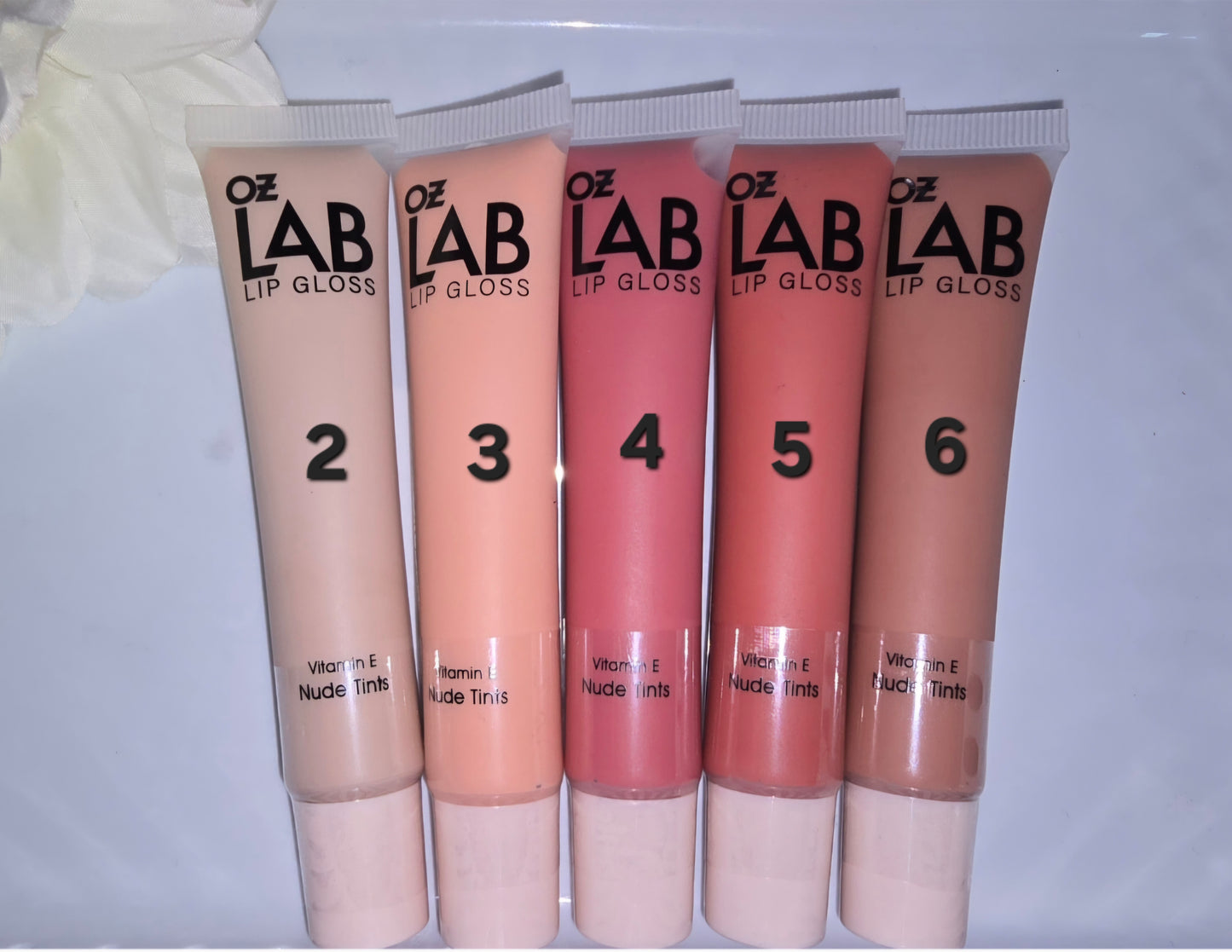 OZ LAB NUDE GLOSS