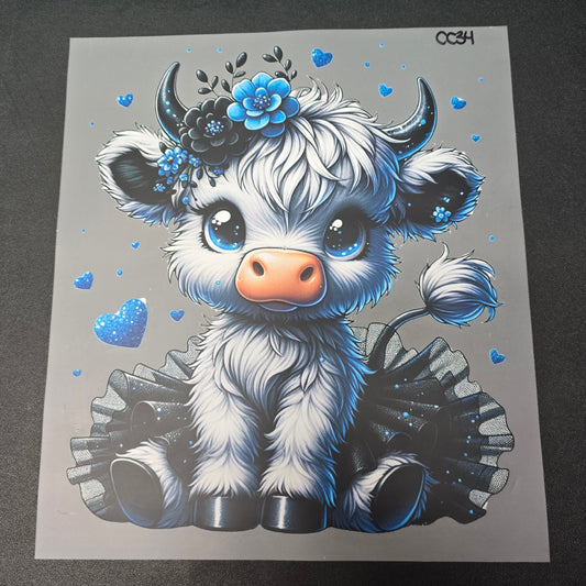 CC34