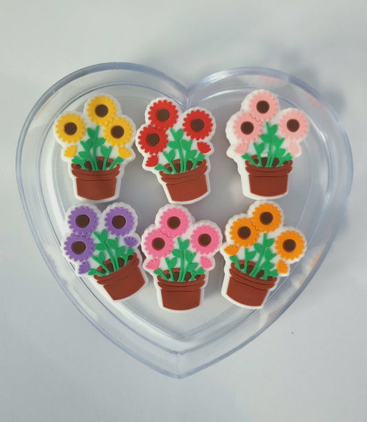 POTTED FLOWERS