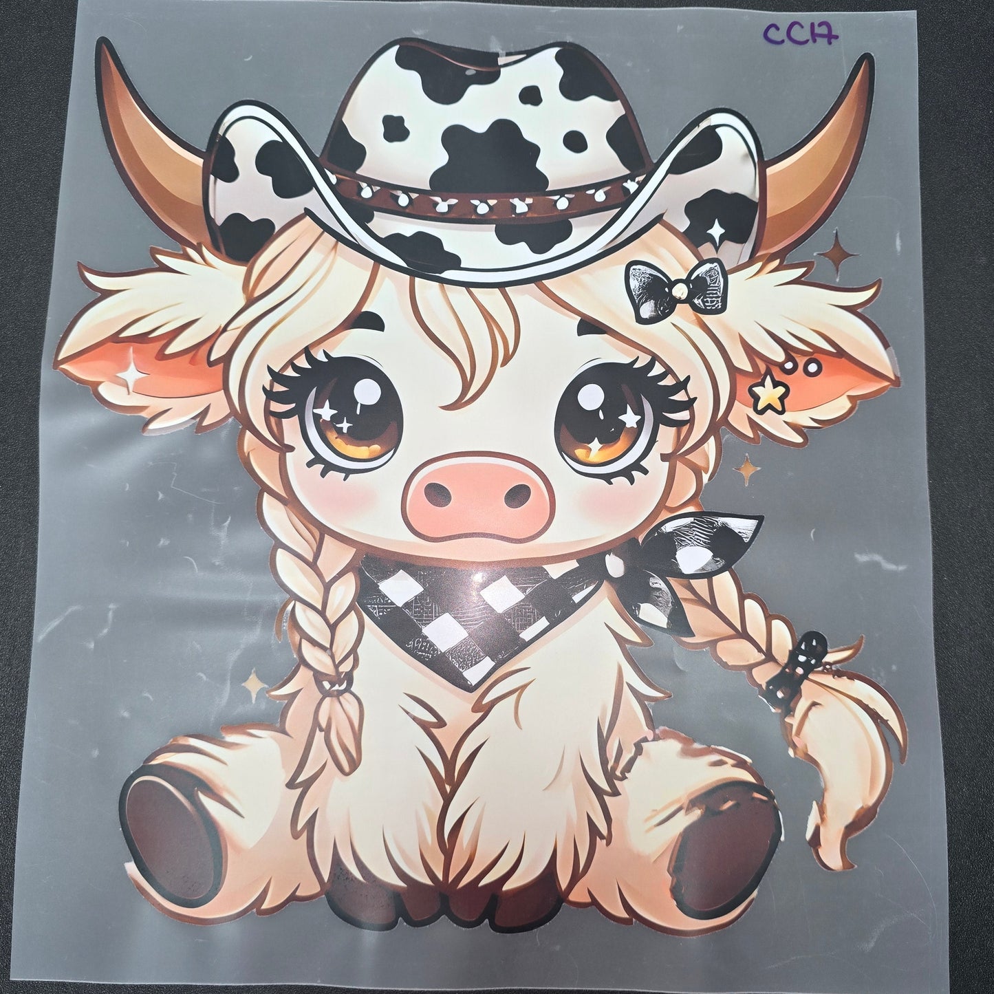 CC17
