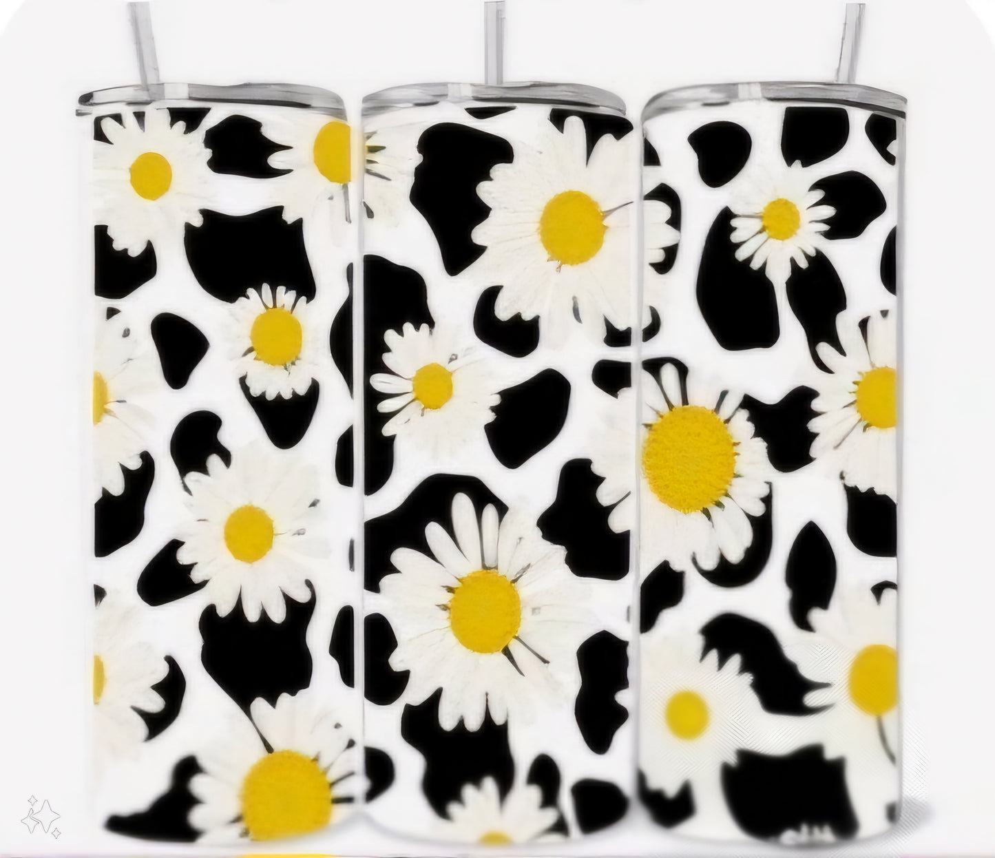 COW PRINT DAISIES